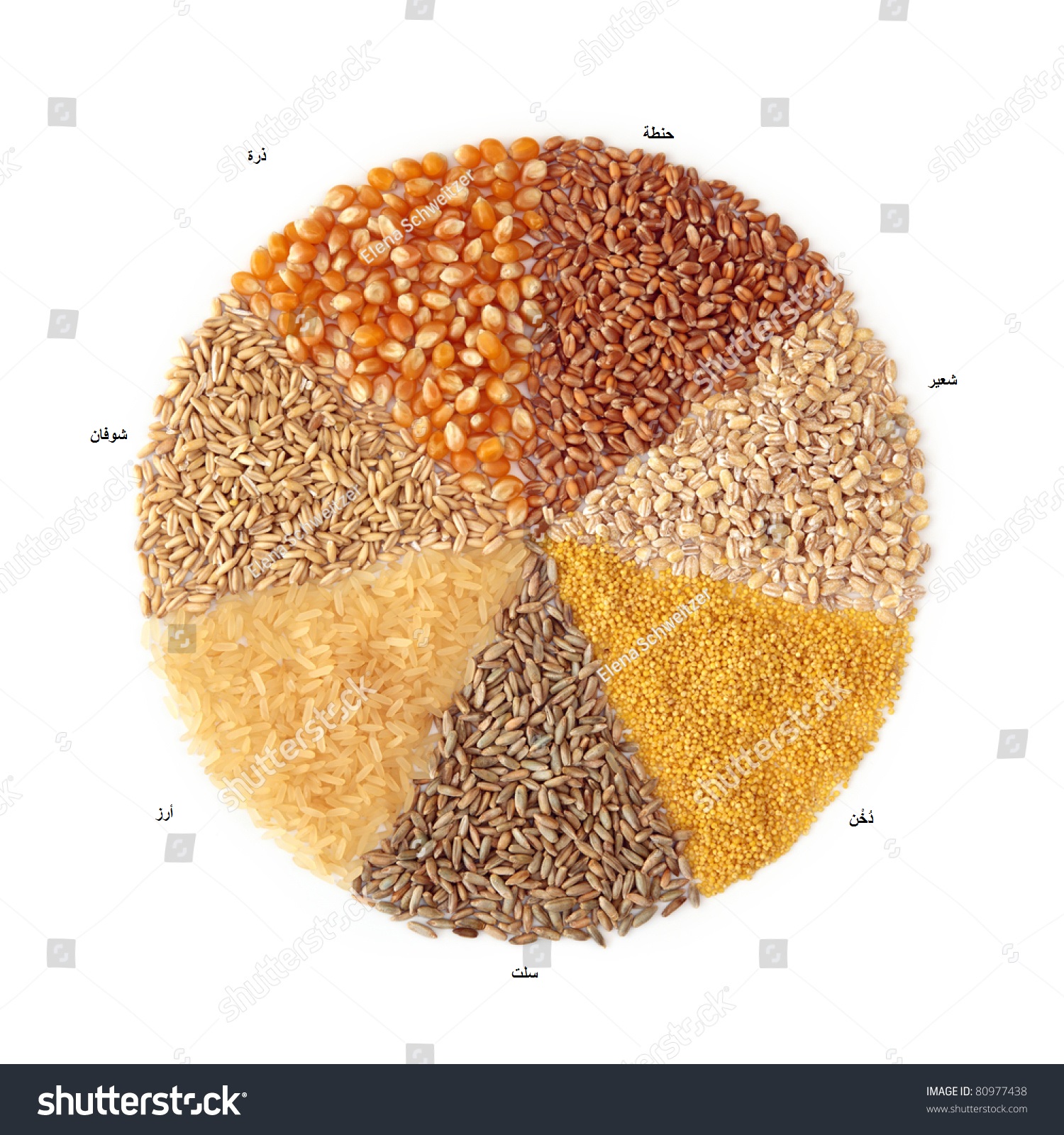 stockphotocerealsmaizewheatbarleymilletryericeandoats