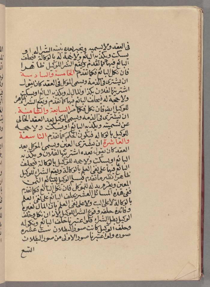 WhatsApp Image 2019-01-01 at 8.06.39 PM (1)